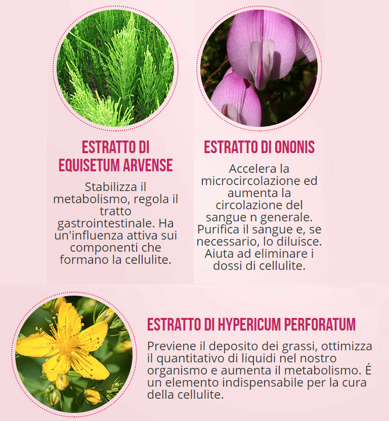 Ingredienti di 2slim anticell
