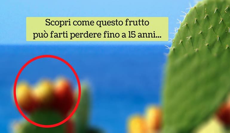 la crema FIKUS