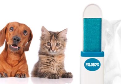 spazzola pelobye per peli di animale